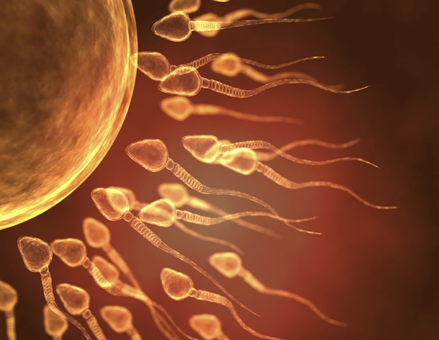 New microfluidic technology enables reliable selection of high-quality sperm for IVF success